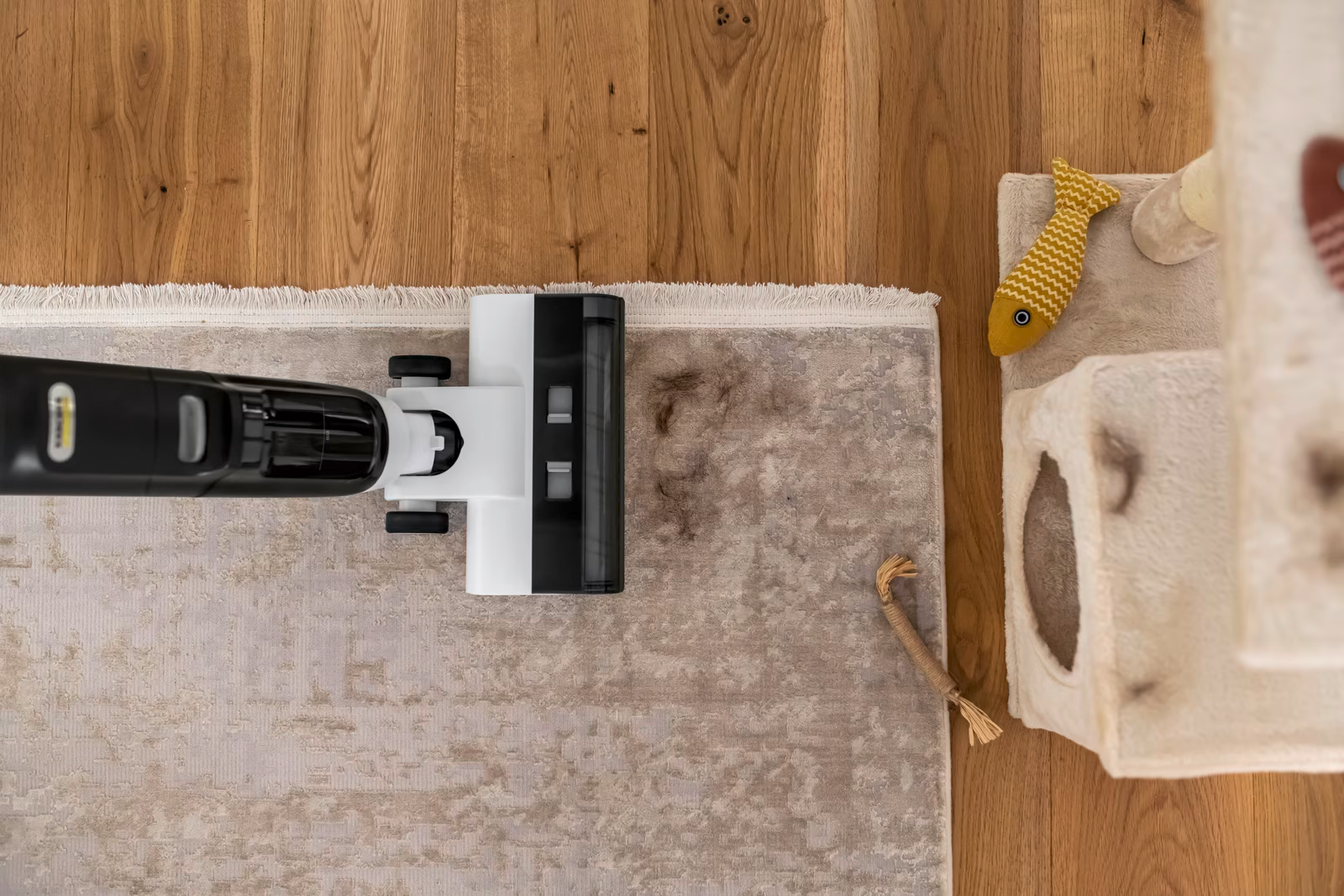 Fregadora aspiradora eléctrica sin cable FCV 3